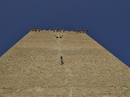 Castillo de Moratalla 2015